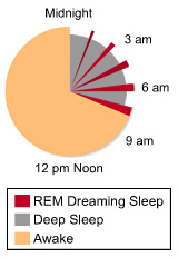 sleep dream circadian rhythm pie chart