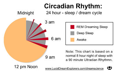 Circadian Rhythm pie chart