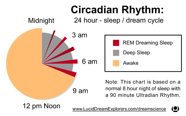 Sleep Dream REM Circadian Rhythm pie chart graph