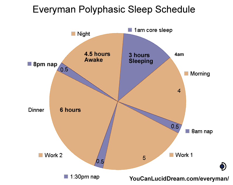 Everyman Polyphasic Sleep  Sleep Schedule Pie Chart