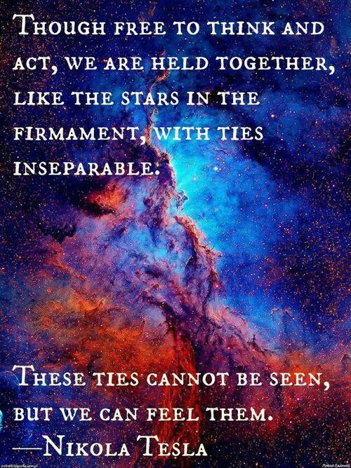 held together like stars quote