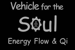 Energy Flow and Qi