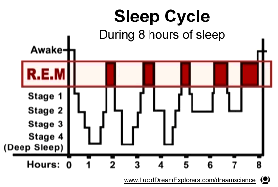 sleep cycle REM Dreaming for 8 hours of sleep