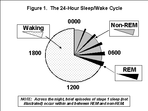 pie chart