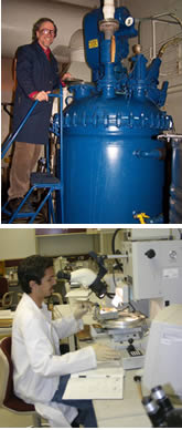 DMI resin manufacturers></td>
  </tr>
  <tr>
   <td valign=