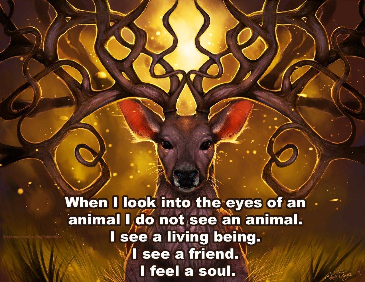 Animal Soul