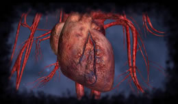 heart